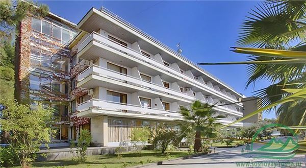 Корпус 1 пансионата «Сосновая роща» среди сосен — фото 5